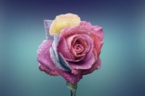 What Do Flowers Smell Like?